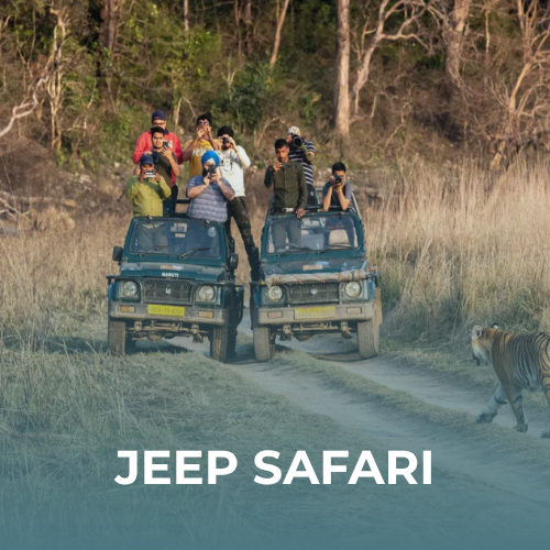 Jeep Safari